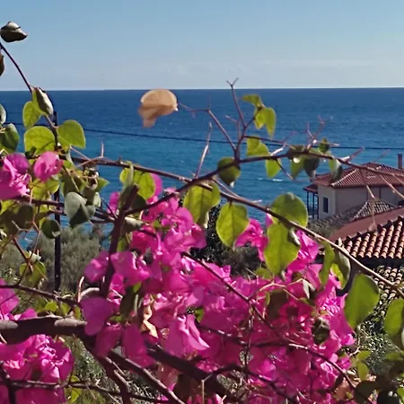 ゲストハウス Iliolithos カルダミリ