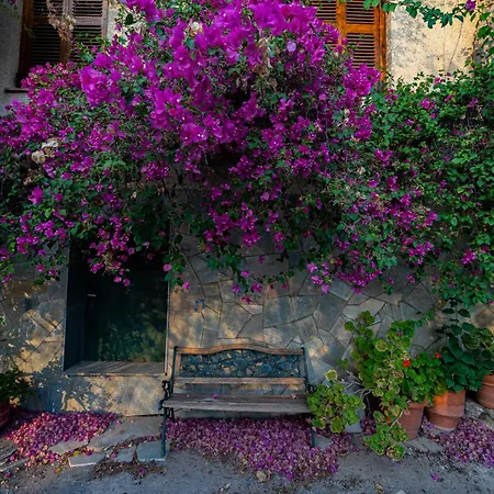 Pensión Iliolithos 4*