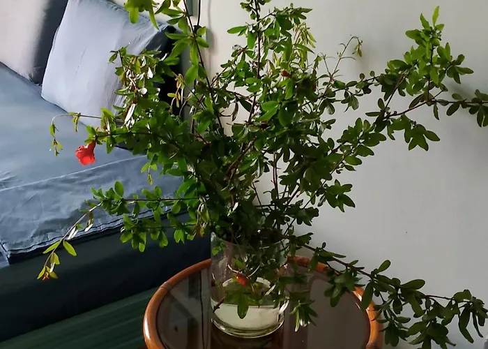 Pensión Iliolithos 4*