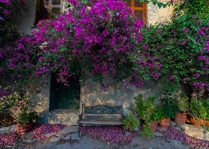 Pensión Iliolithos 4*