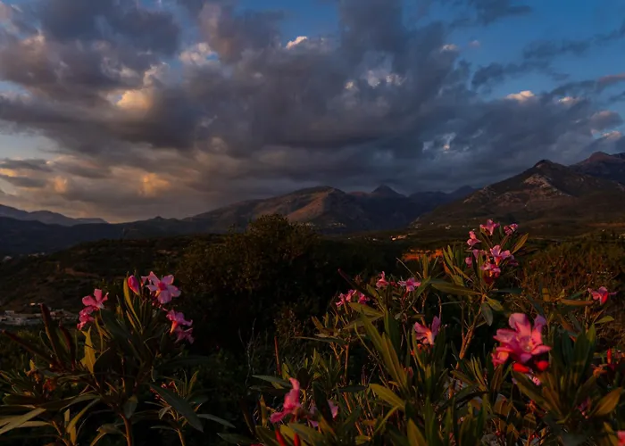 Iliolithos Pensión Kardamyli