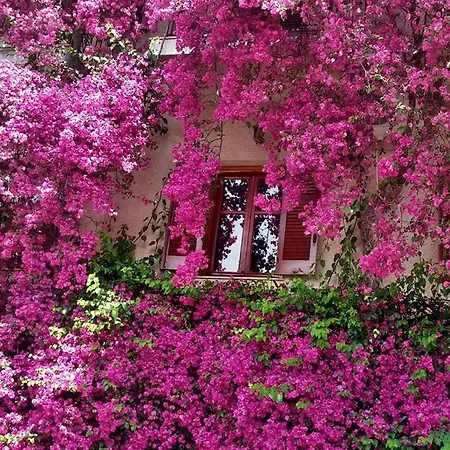 Iliolithos Πανσιόν *