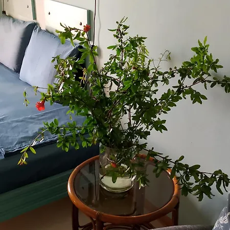 Penzion Iliolithos 4*