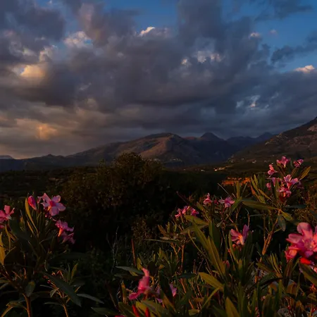 Iliolithos ゲストハウス カルダミリ