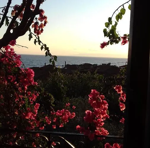 Iliolithos 4* Kardhamili