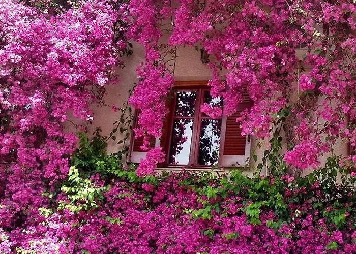 Iliolithos Gasthof 4*